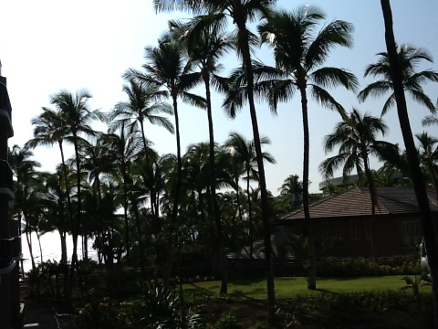 20120331-190423.jpg
