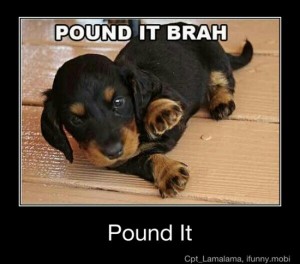 pound it